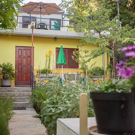 Apartment Pipo Риека Экстерьер фото